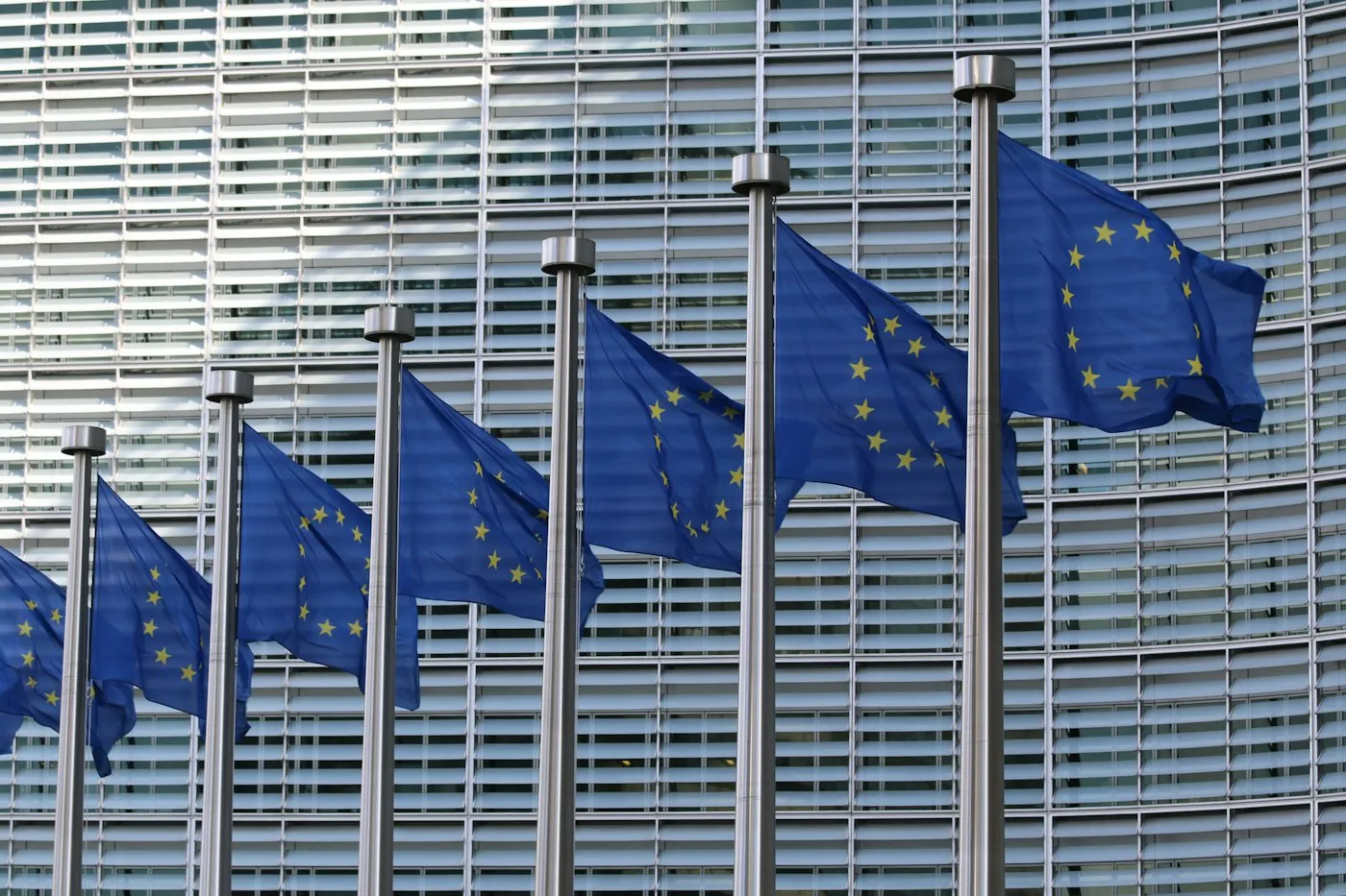 Steagurile Uniunii Europene în fața Comisiei Europene